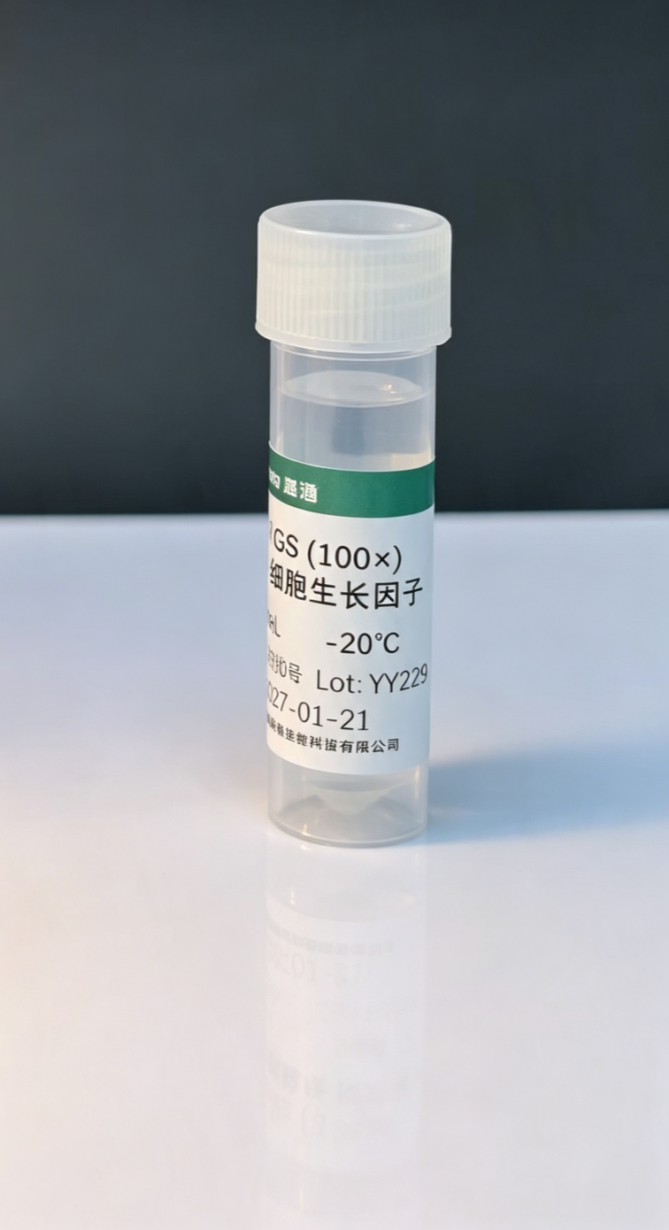成骨细胞生长因子