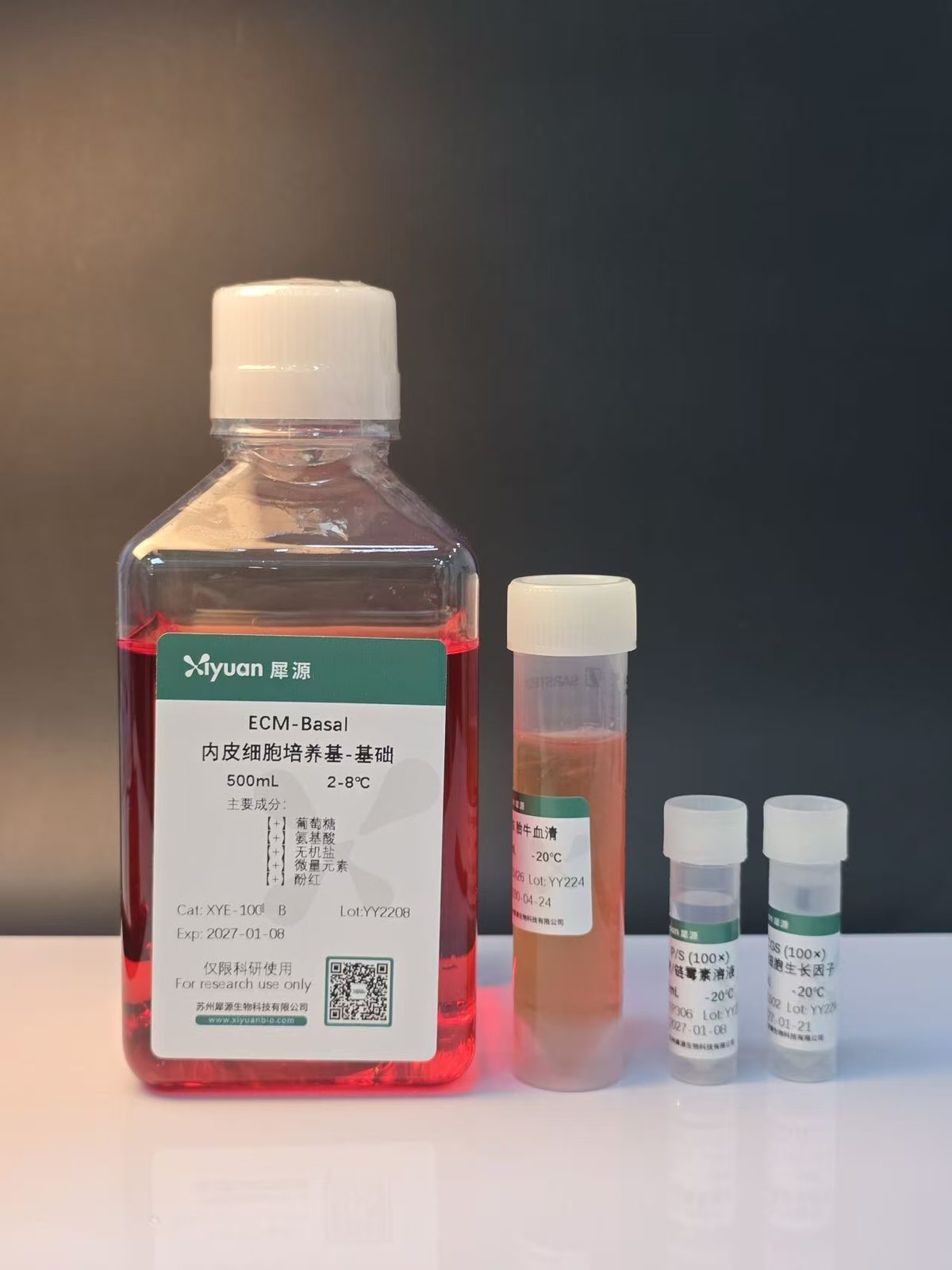 ECM内皮细胞培养基