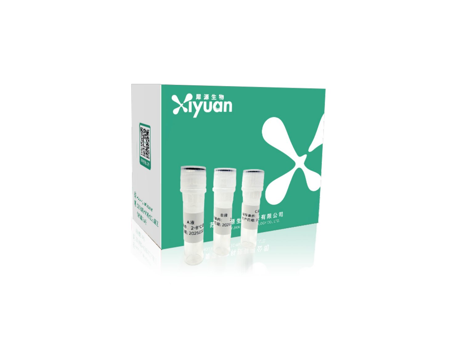 Xiyuan™-R细胞转染试剂