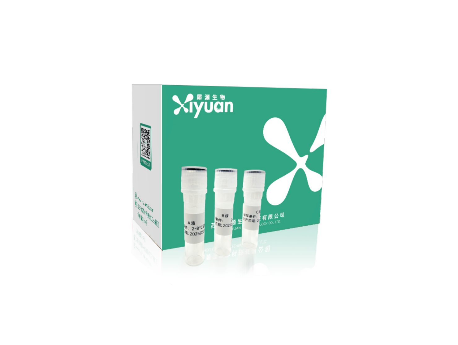 Xiyuan™-R细胞转染试剂