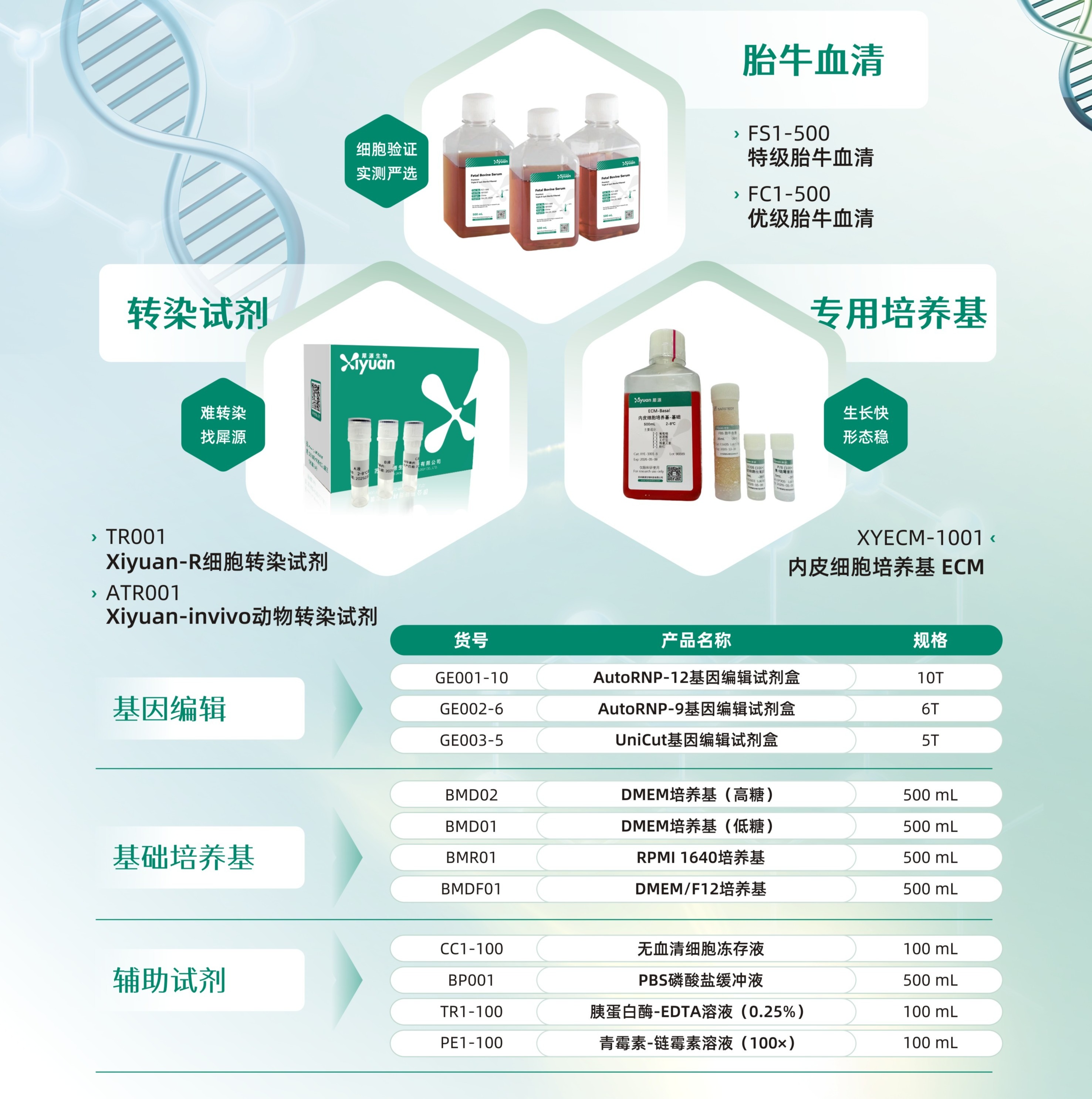 核心产品与技术服务